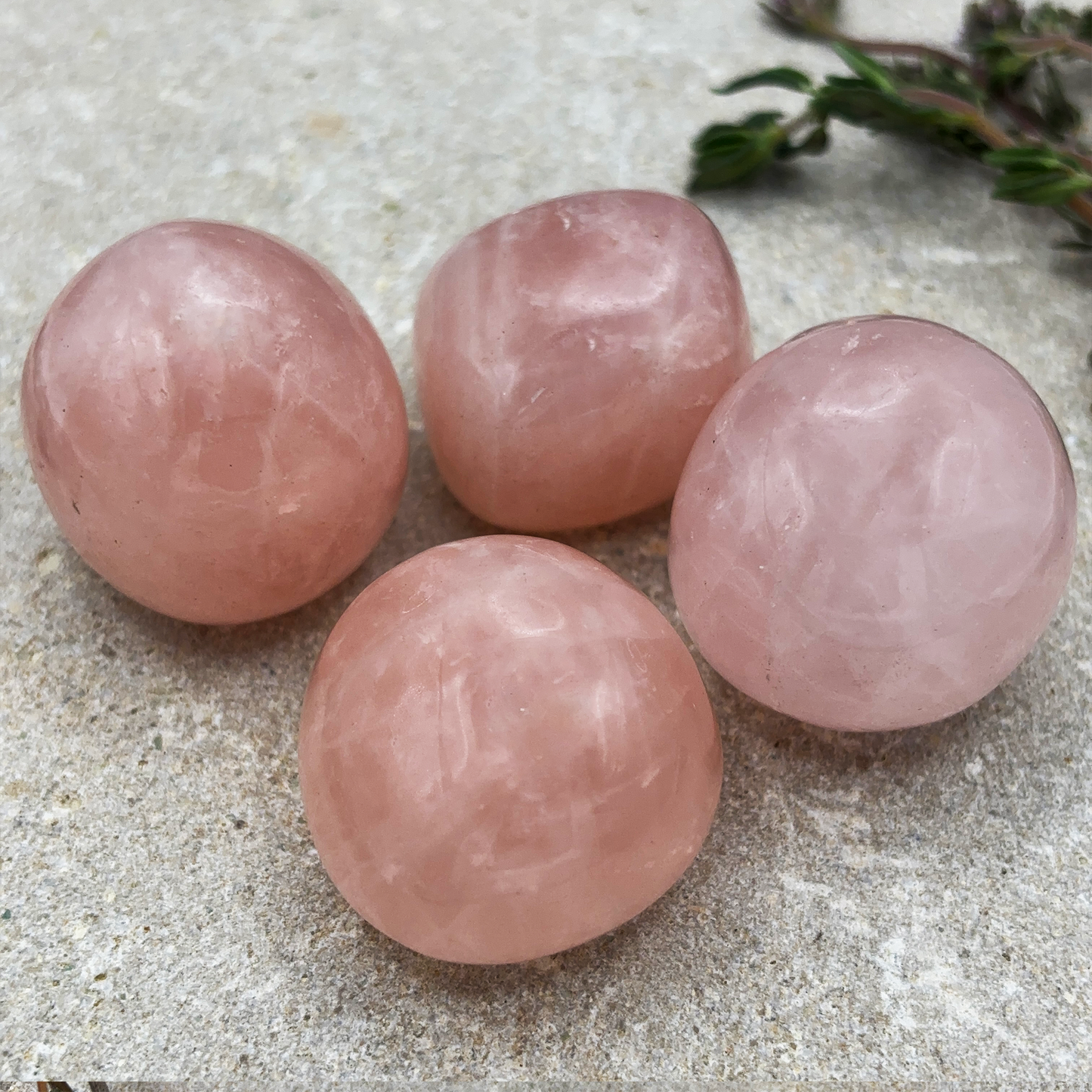 Rose Quartz Tumbled Crystal