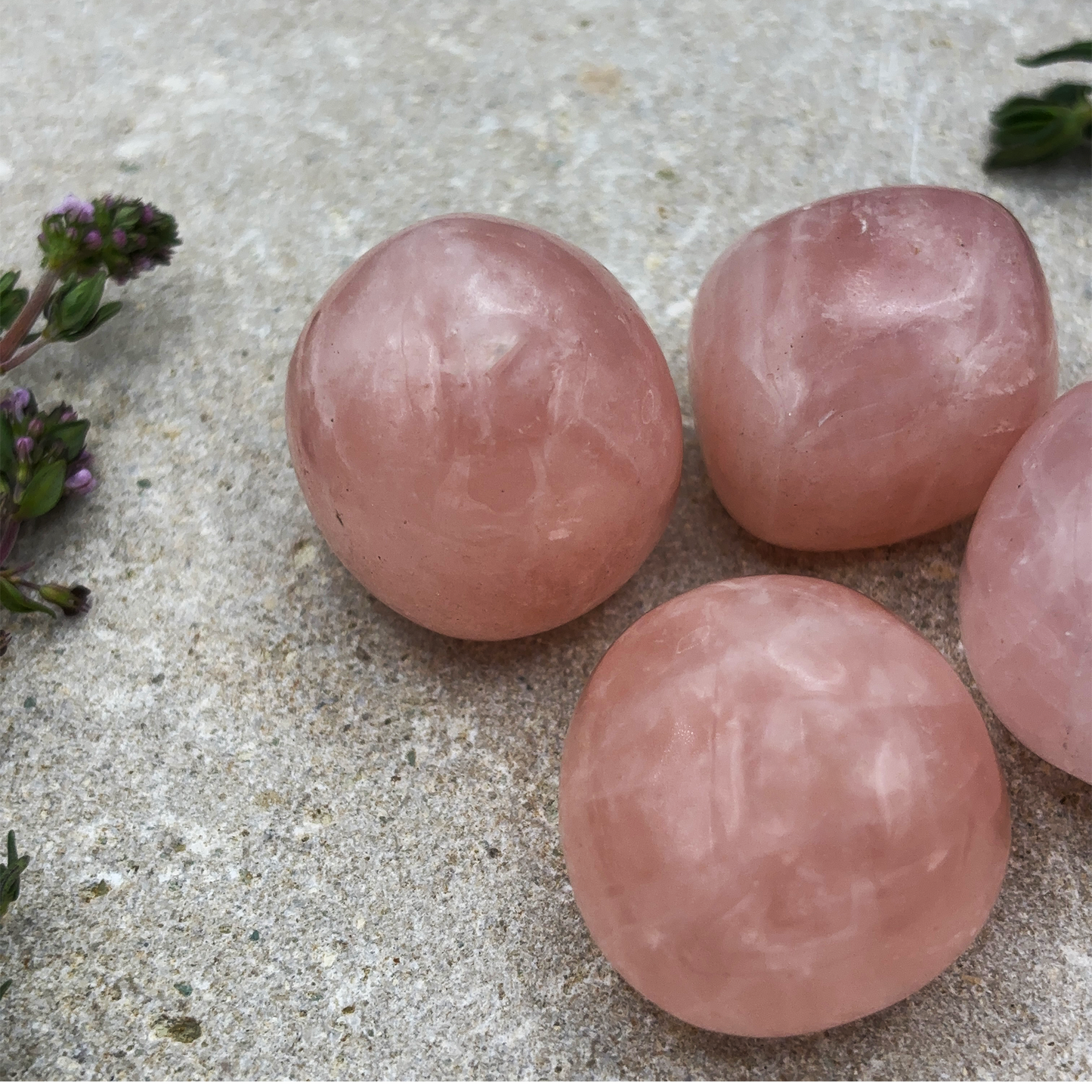 Rose Quartz Tumbled Crystal