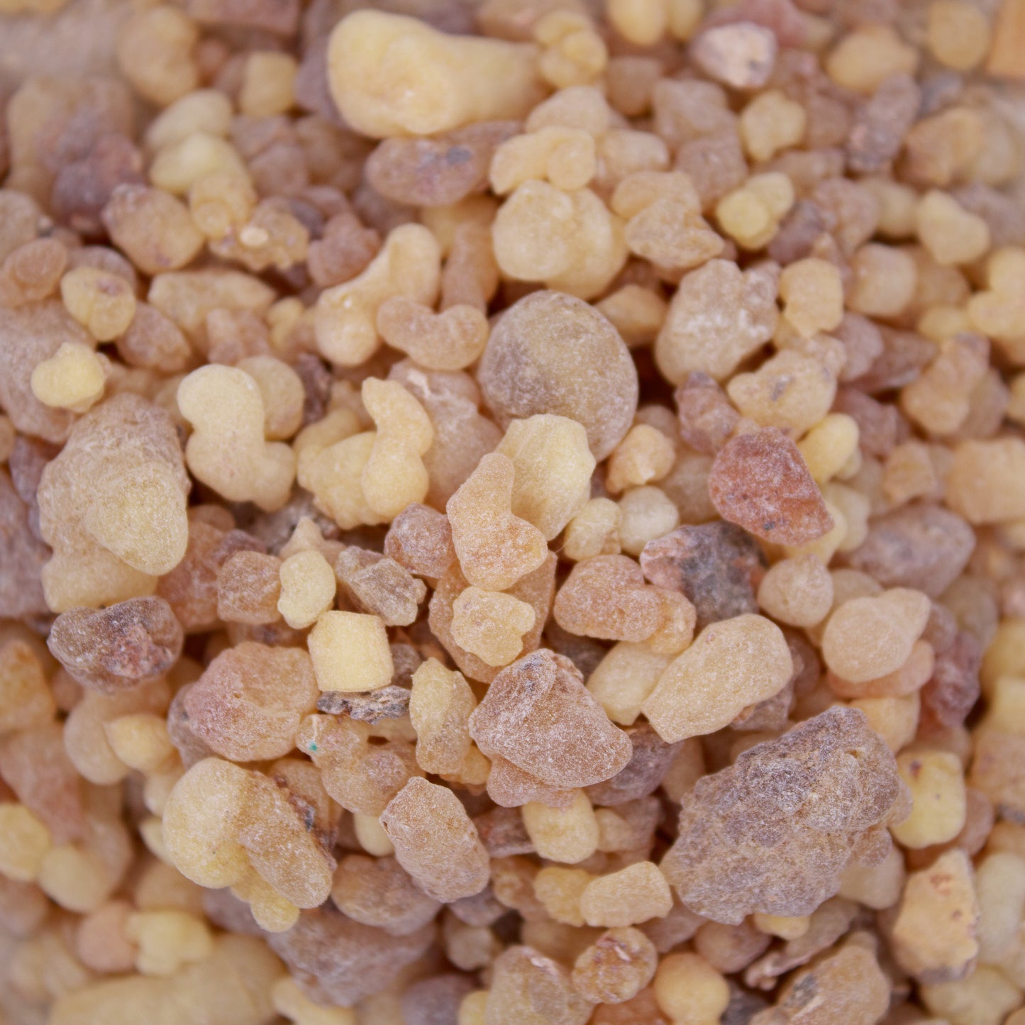 Raw Frankincense Resin