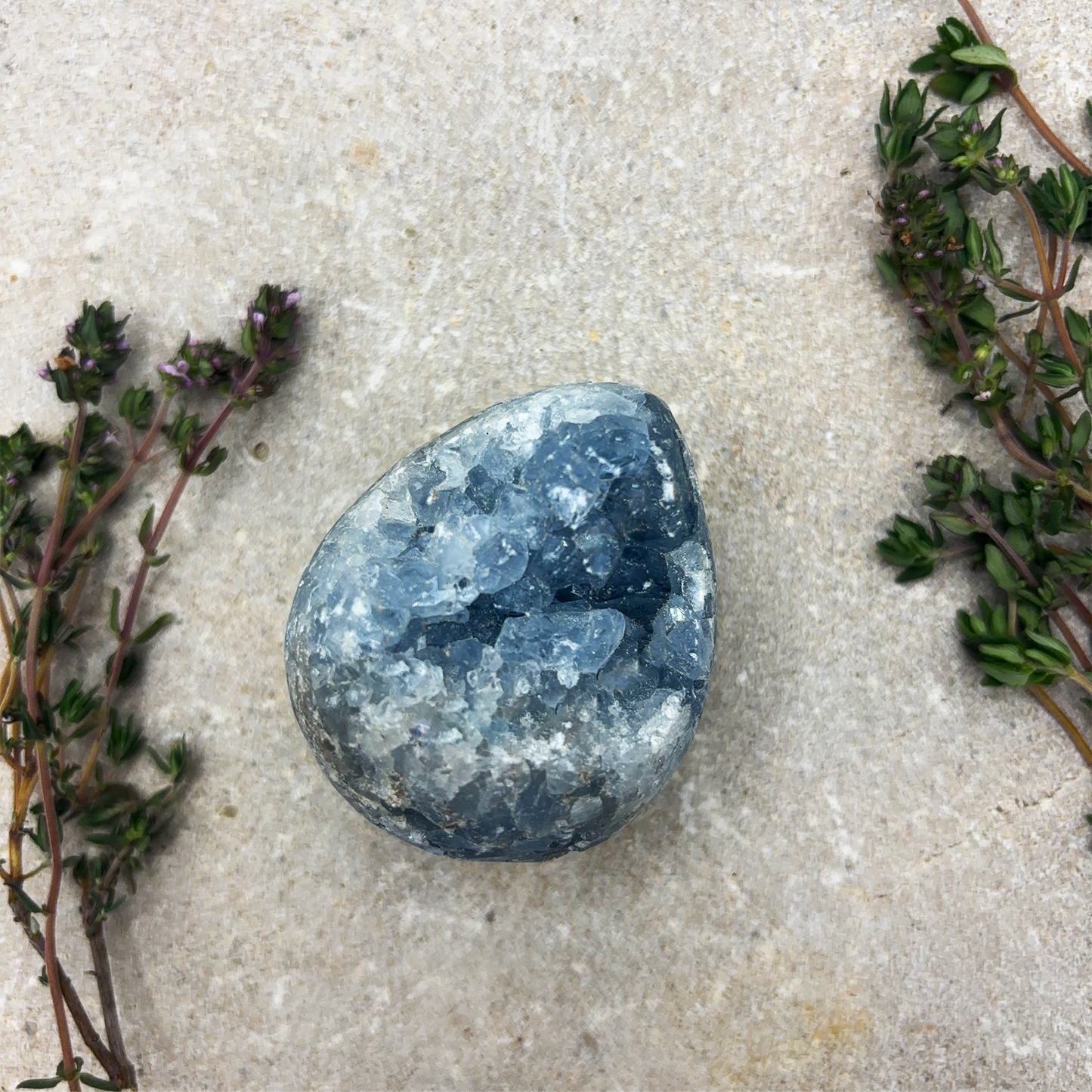 Raw Celestite Geode